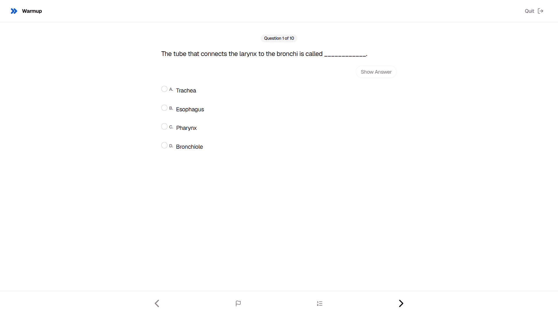 Custom practice tests with instant feedback